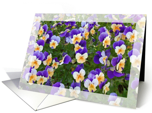 Birthday Viola Garden card (790075)