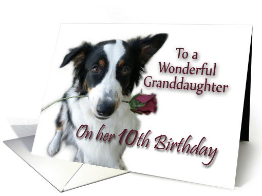 Aussie Rose for Granddaughter, 10th Birthday card (1010171)