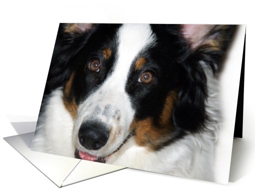 Thinking of You card (467752)