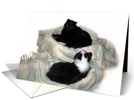 Puppy Love card (467986)