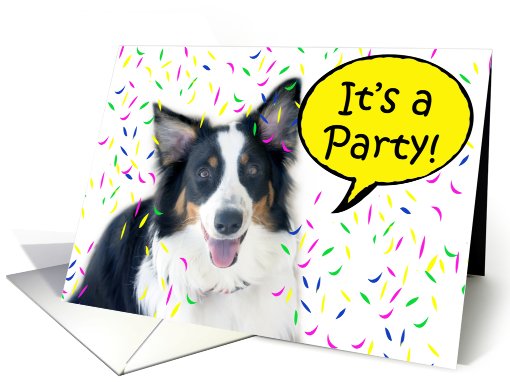 It's A Party! card (468545)