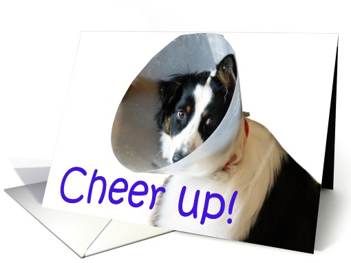 Cheer Up card (468907)