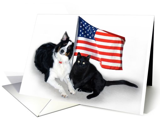 Patriotic Pets card (473847)