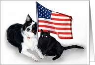 Patriotic Pets