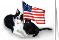 Patriotic Pets card