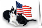 Patriotic Pets card