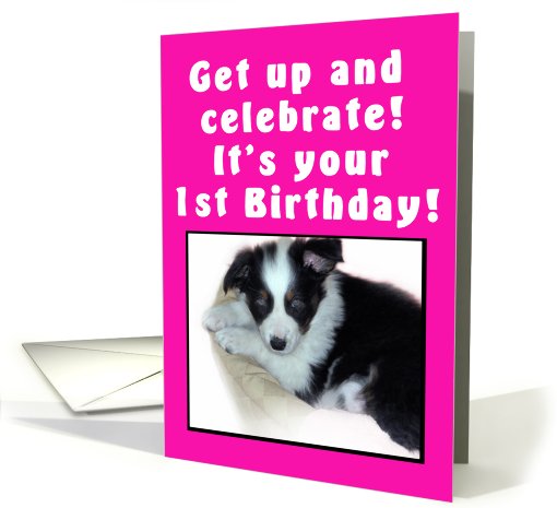 1st Birthday Puppy Pink card (477254)