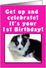 1st Birthday Puppy Pink card