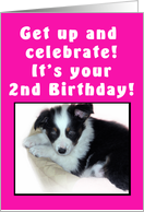 2nd Birthday Puppy Pink card