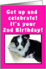 2nd Birthday Puppy Pink card