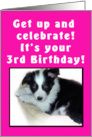 3rd Birthday Puppy Pink card