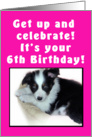 6th Birthday Puppy Pink card