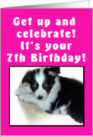 7th Birthday Puppy Pink card