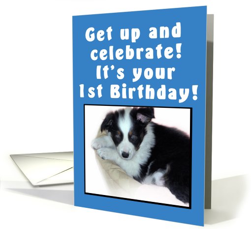 1st Birthday Puppy Blue card (477273)