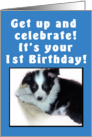 1st Birthday Puppy Blue card