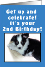 2nd Birthday Puppy Blue card