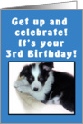3rd Birthday Puppy Blue card
