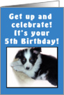 5th Birthday Puppy Blue card