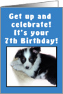 7th Birthday Puppy Blue card