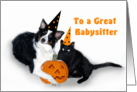 Halloween Dog and Cat to Babysitter card