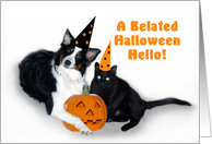 Halloween Dog and Cat Belated card