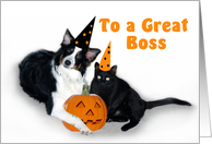 Halloween Dog and Cat Boss card
