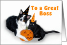 Halloween Dog and Cat Boss card