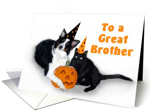 Halloween Dog and Cat Brother card (481113)
