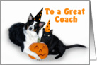 Halloween Dog and Cat, Coach card