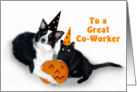 Halloween Dog and Cat, Co-Worker card