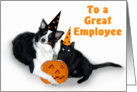 Halloween Dog and Cat, Employee card