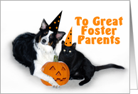 Halloween Dog and Cat, Foster Parents card