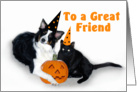Halloween Dog and Cat, Friend card