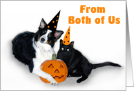 Halloween Dog and Cat, From Both of Us card