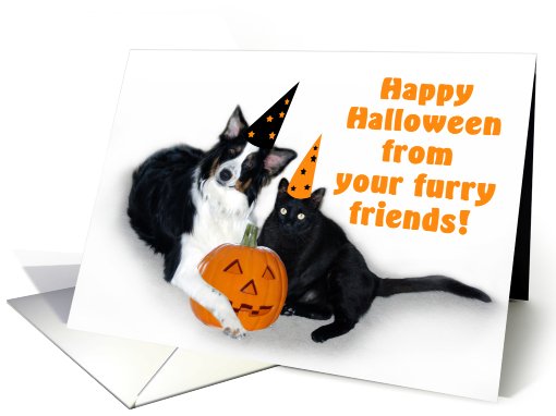 Halloween Dog and Cat, From Furry Friends card (481158)