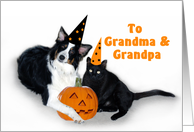 Halloween Dog and Cat, Grandma and Grandpa card