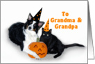Halloween Dog and Cat, Grandma and Grandpa card
