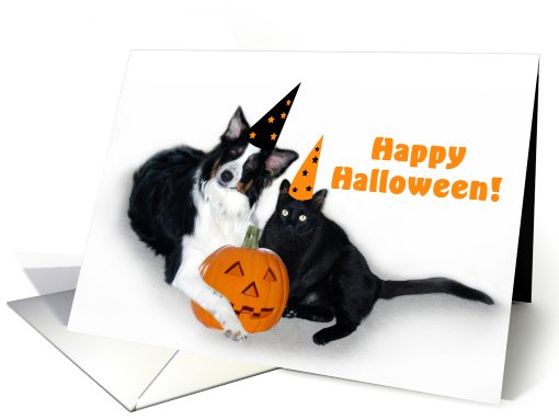 Halloween Dog and Cat card (481186)