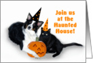 Halloween Dog and Cat, Haunted House card