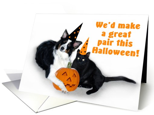 Halloween Dog and Cat, You and Me card (481192)