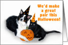 Halloween Dog and Cat, You and Me card