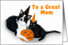 Halloween Dog and Cat, Mom card