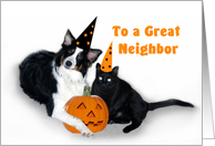 Halloween Dog and Cat, Neighbor card