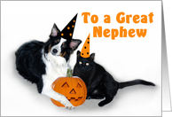 Halloween Dog and Cat, Nephew card