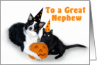 Halloween Dog and Cat, Nephew card