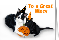 Halloween Dog and Cat, Niece card