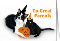 Halloween Dog and Cat, Parents card