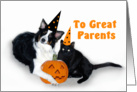 Halloween Dog and Cat, Parents card