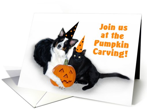 Halloween Dog and Cat, Pumpkin Carving card (481212)