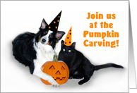 Halloween Dog and Cat, Pumpkin Carving card